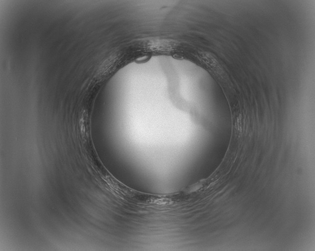 X0000053000424200507221252