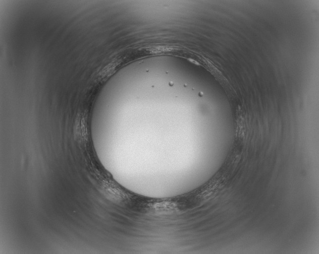 X0000053000426200507221252