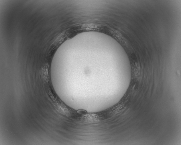 X0000053000427200507221252