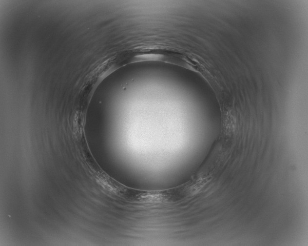 X0000053000428200507221252