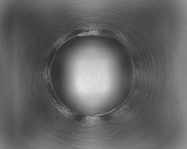 X0000053000429200507221252