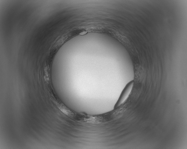 X0000053000430200507221252