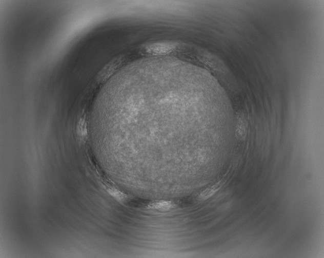 X0000053000431200507221252