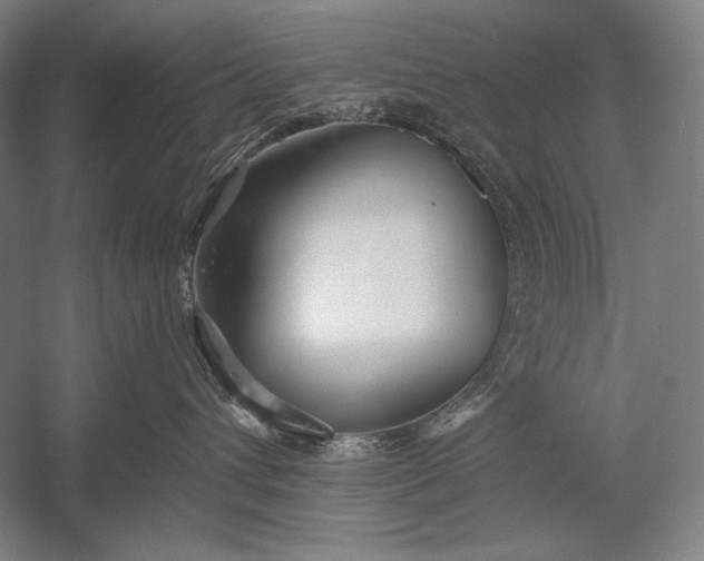 X0000053000432200507221252