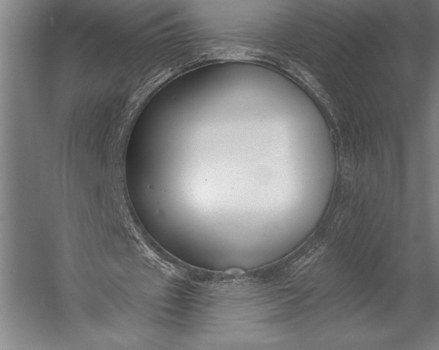 X0000053000433200507221251