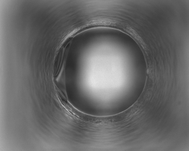 X0000053000434200507221251