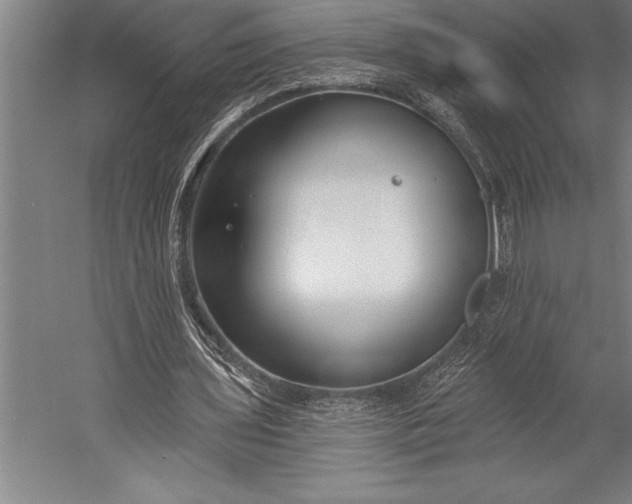 X0000053000435200507221251