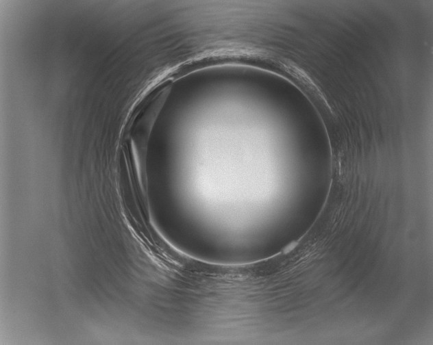 X0000053000436200507221251