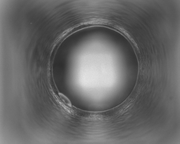 X0000053000437200507221251