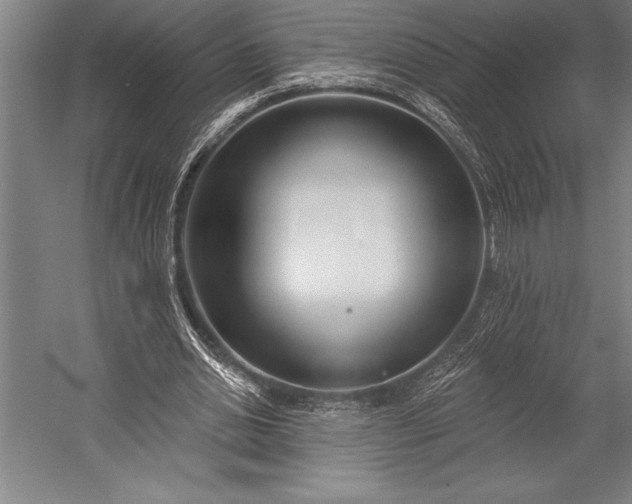 X0000053000438200507221251