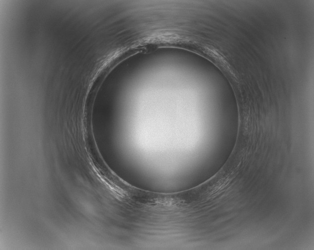 X0000053000439200507221251