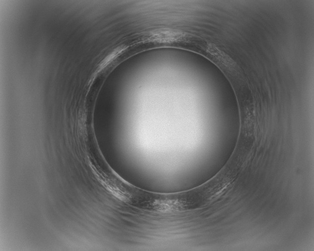 X0000053000440200507221251