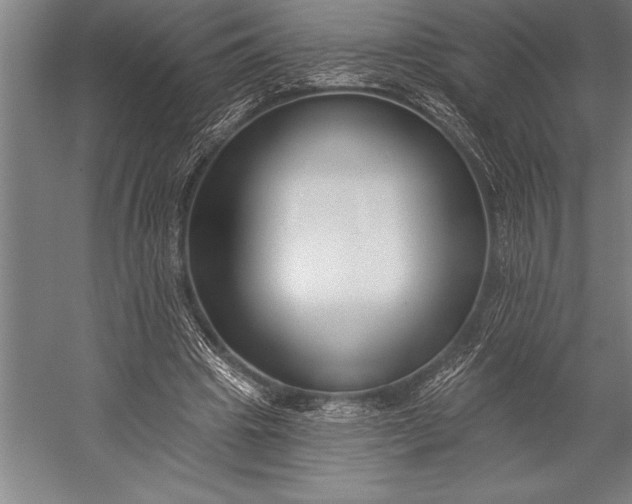 X0000053000441200507221251