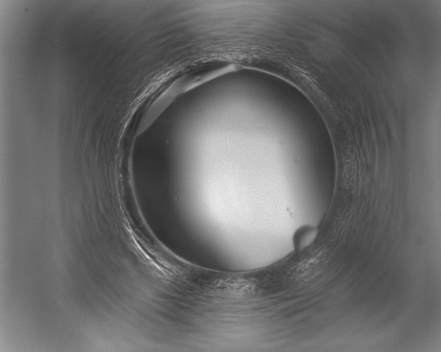 X0000053000443200507221251