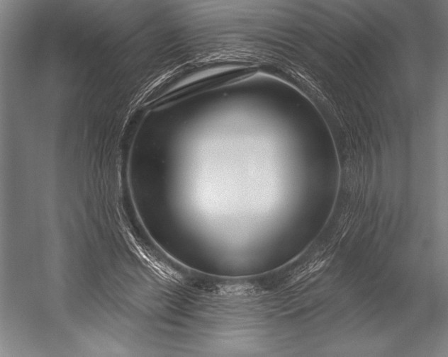 X0000053000446200507221251