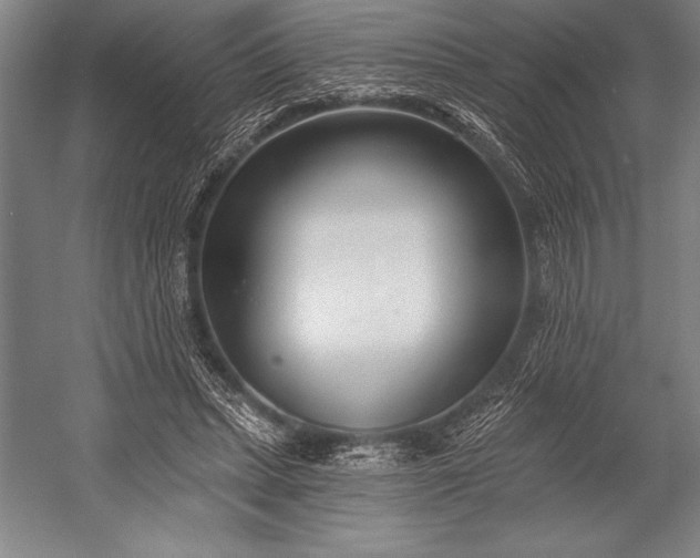 X0000053000447200507221251