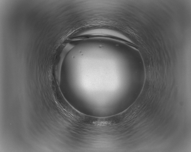 X0000053000448200507221251