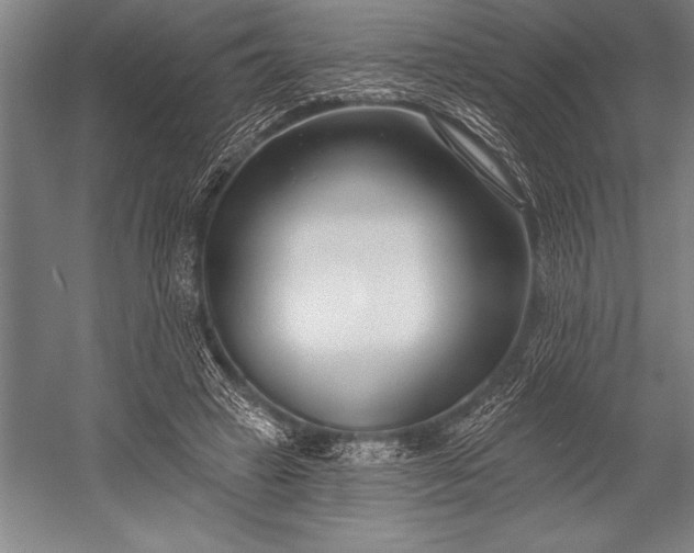 X0000053000449200507221251