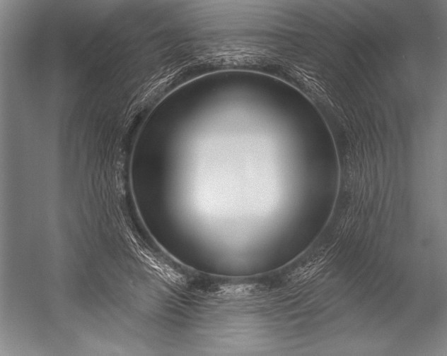 X0000053000450200507221251