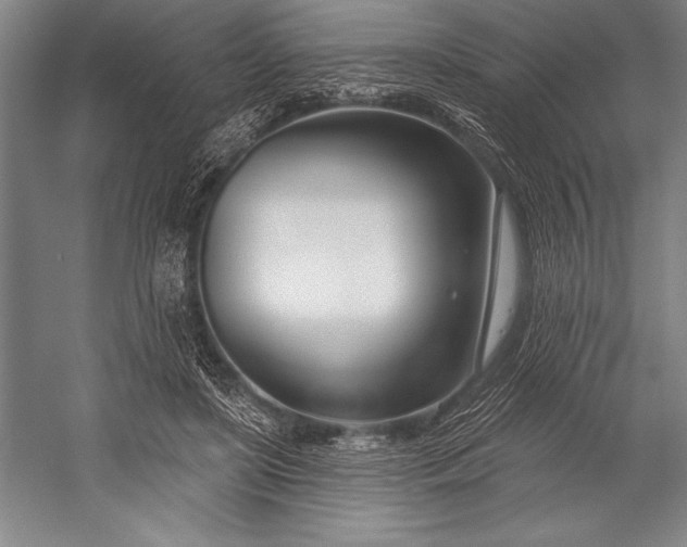 X0000053000451200507221251