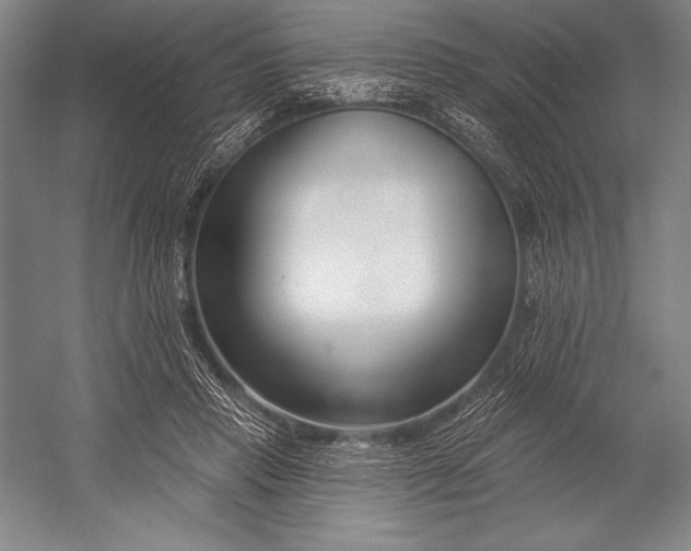 X0000053000453200507221251