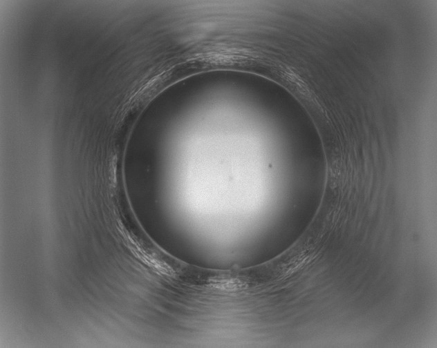 X0000053000454200507221251