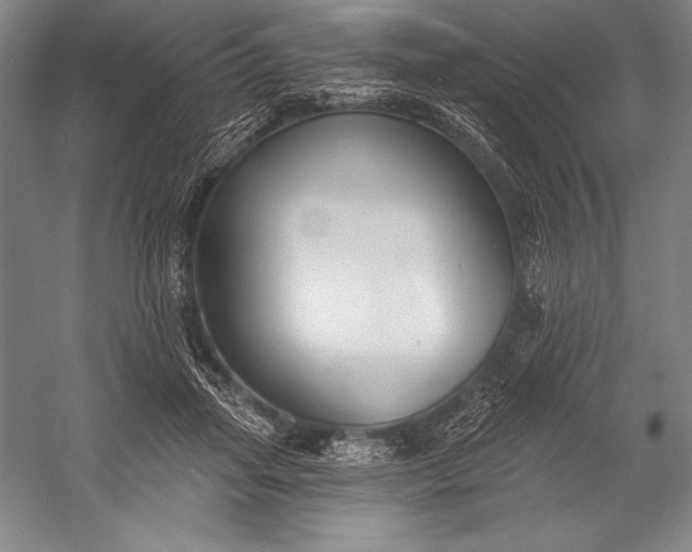 X0000053000455200507221251