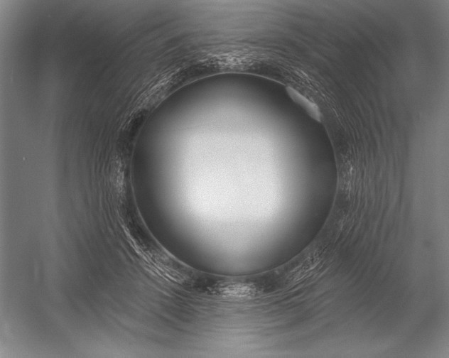 X0000053000456200507221251