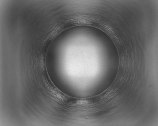 X0000053000457200507221251