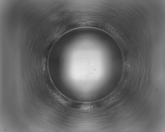 X0000053000458200507221251