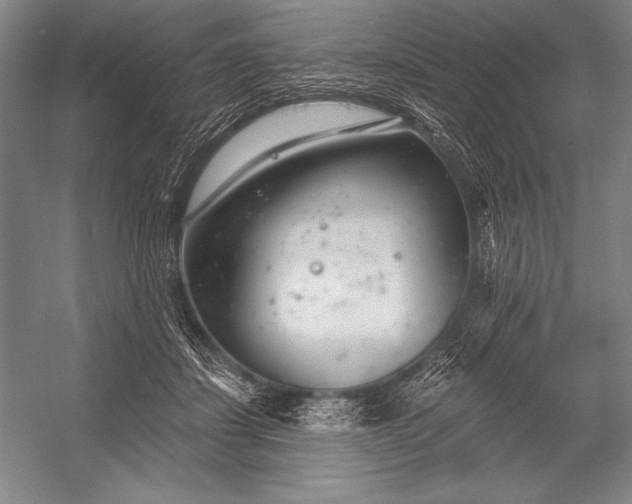 X0000053000459200507221251