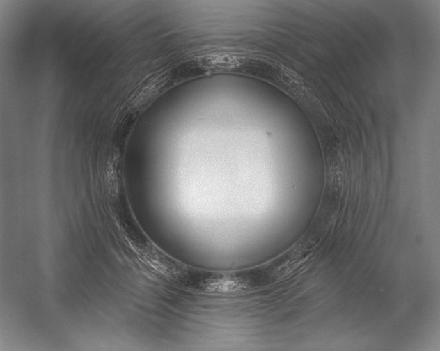 X0000053000460200507221251