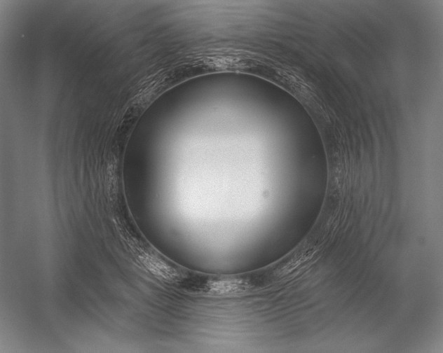 X0000053000461200507221251