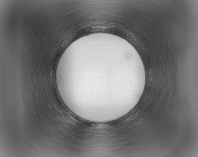 X0000053000463200507221251