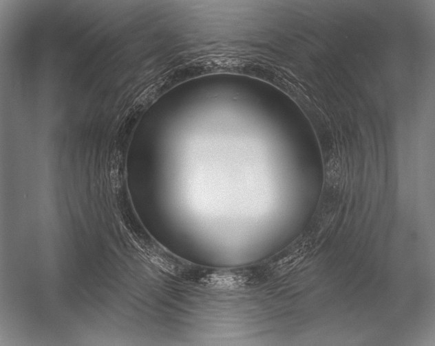 X0000053000464200507221251