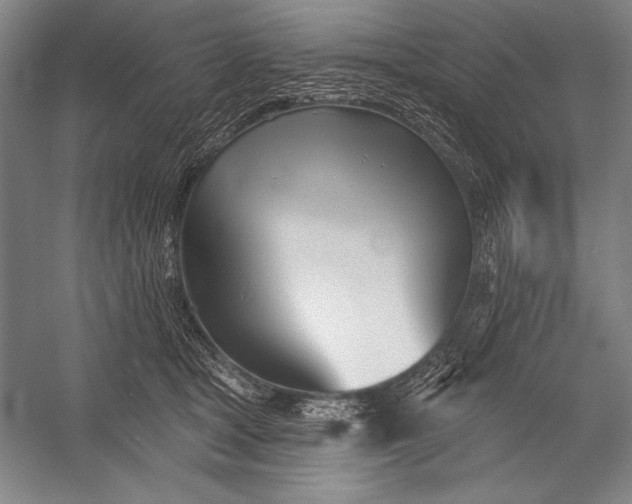 X0000053000465200507221251