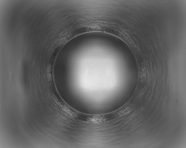 X0000053000466200507221251