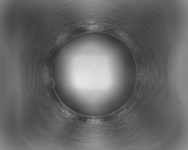 X0000053000469200507221252