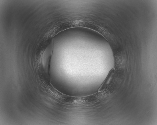 X0000053000470200507221252