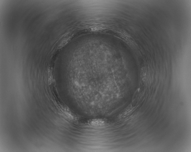 X0000053000471200507221252