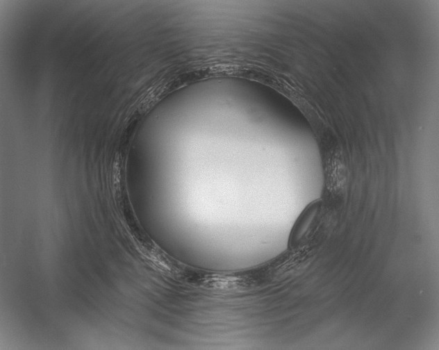 X0000053000472200507221252