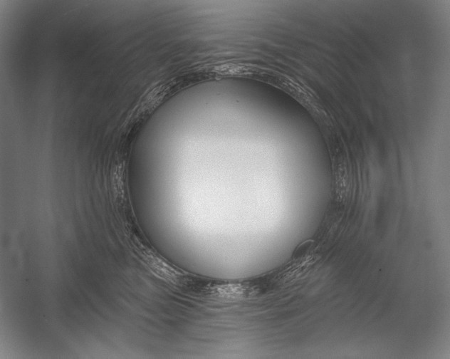 X0000053000473200507221252