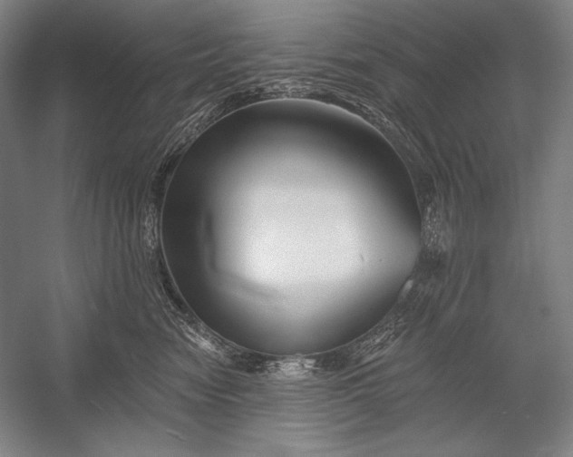 X0000053000474200507221252