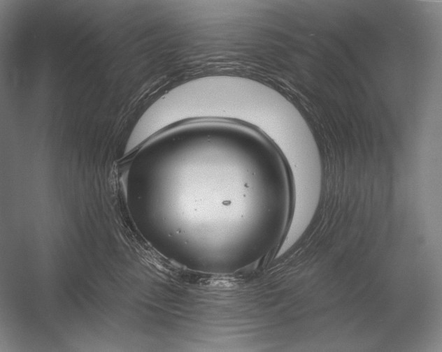 X0000053000475200507221252