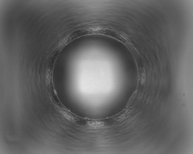 X0000053000476200507221252