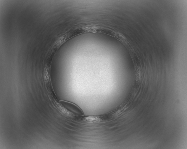 X0000053000477200507221252