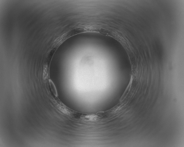 X0000053000478200507221252