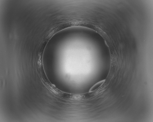 X0000053000479200507221252