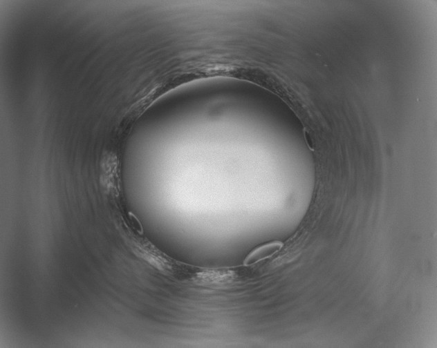 X0000053000480200507221252