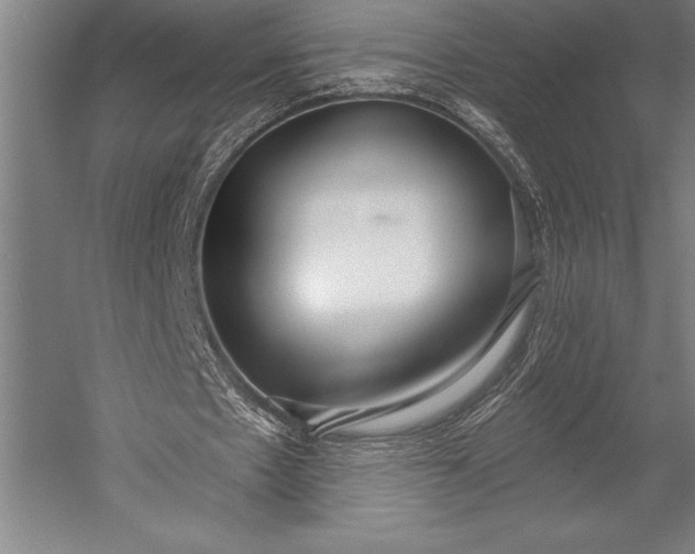 X0000053000481200507221251